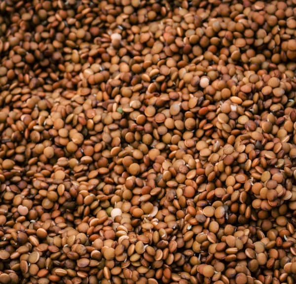 Raw brown lentils and pulses in bulk — pulses exporter India