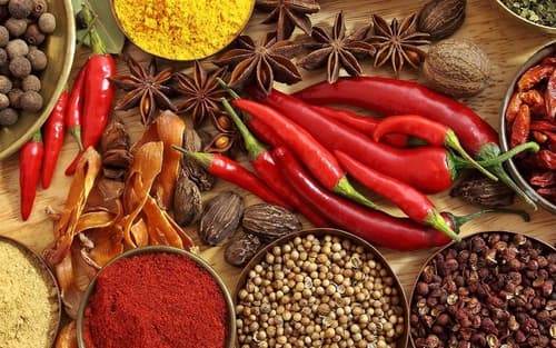 Colorful Indian spices red chili turmeric coriander star anise — spice exporter India
